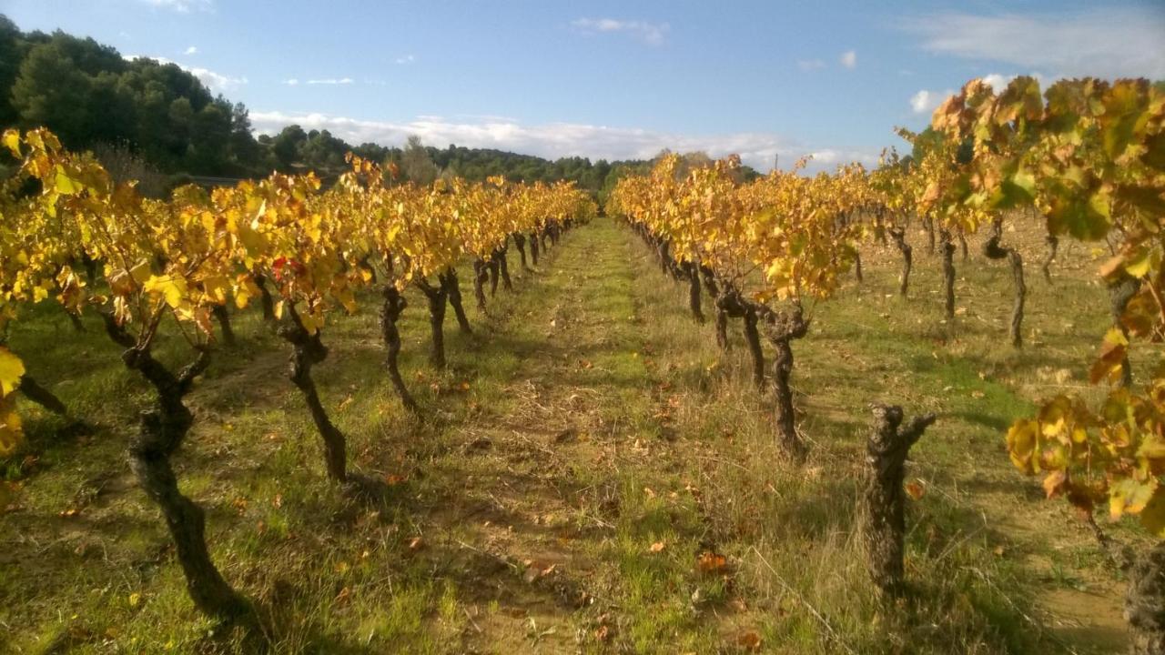 Penzion Domaine D'Azeou Laure-Minervois Exteriér fotografie