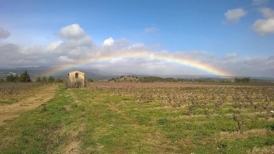 Penzion Domaine D'Azeou Laure-Minervois Exteriér fotografie